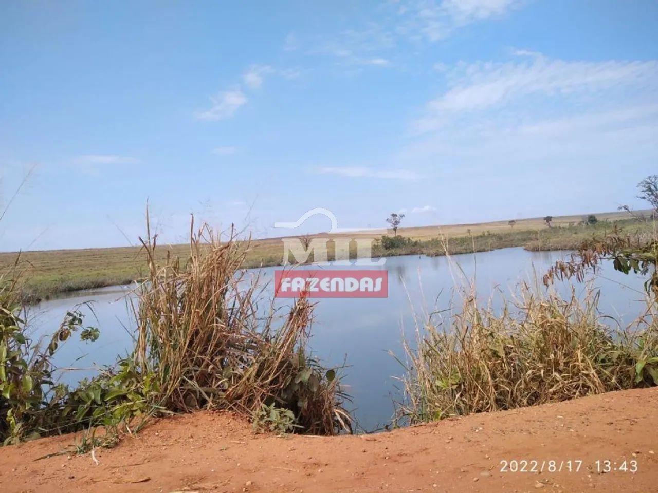 Fazenda em Santa Vitória - MG - 2.720 Há - Foto 5