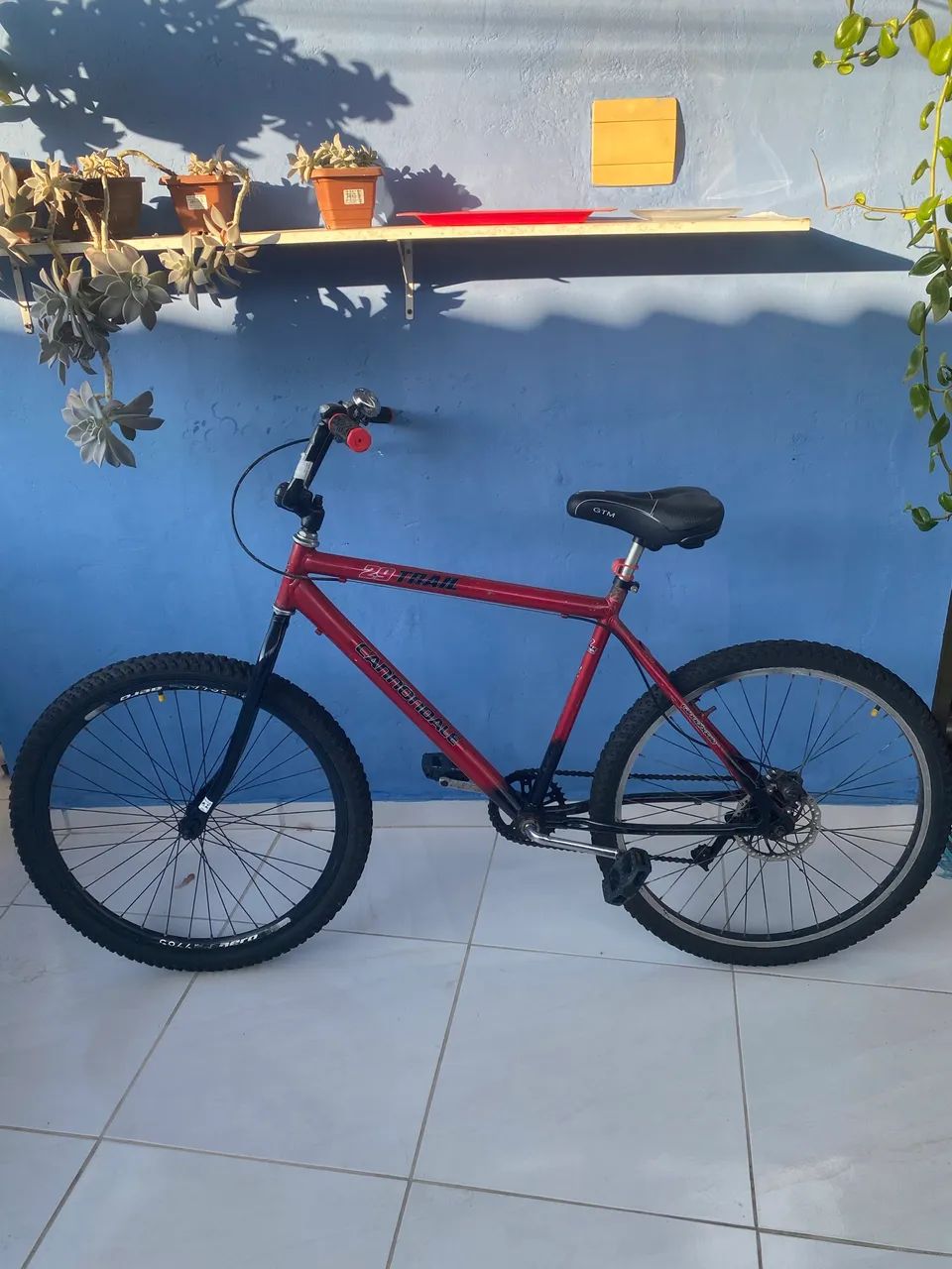 Bicicleta  - Foto 2