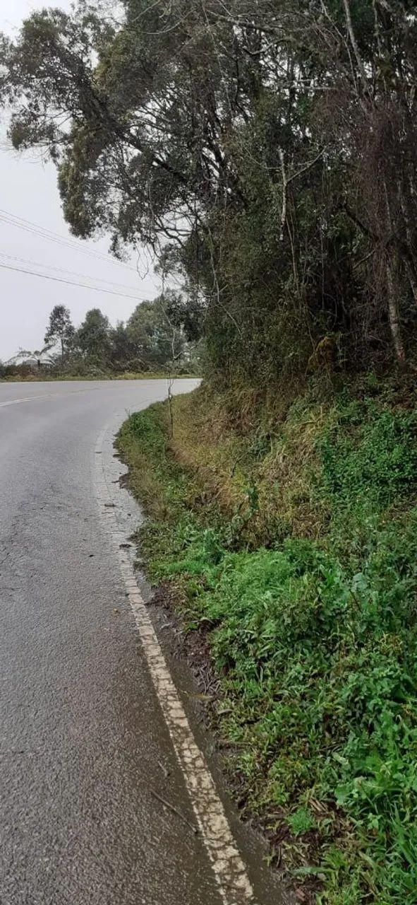 Em Rancho Queimado 2 hectares a venda 