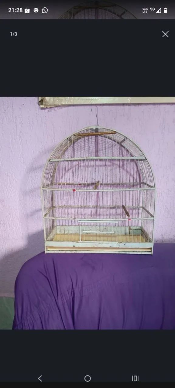 Gaiola boa
