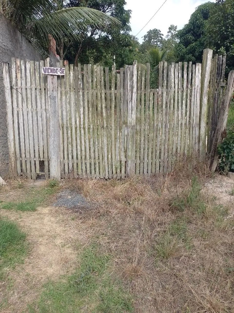Foto - Pojuca - 