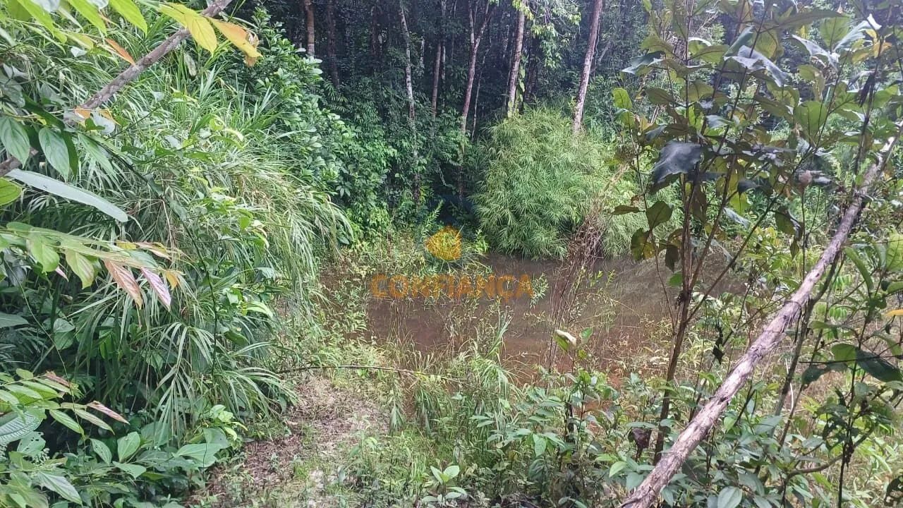 Chácara á Venda- BR 319 - Foto 3