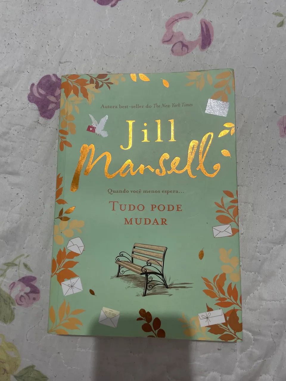 Livro(tudo pode mudar)
