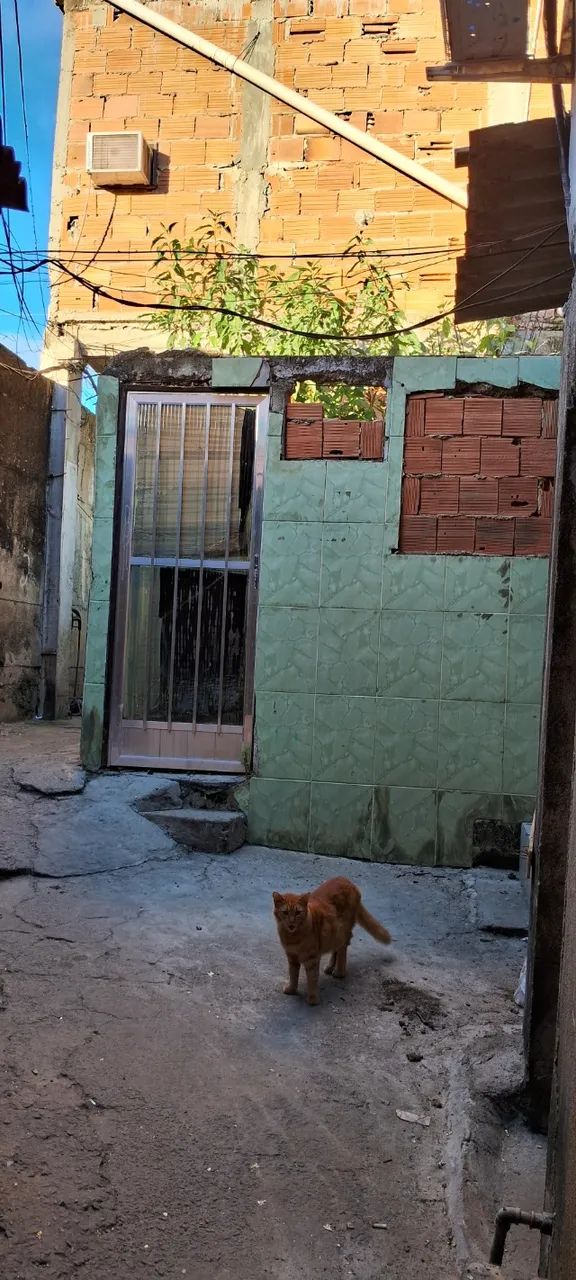 Quarto para reconstruir até 2 andares. - Foto 3