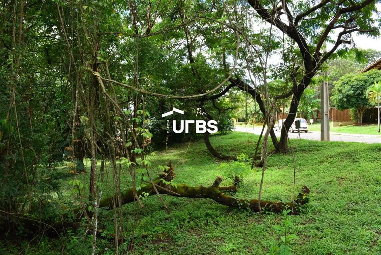 LOTE À VENDA EM PIRENÓPOLIS COM DIVISA PARA A MATA COM 702m² - Foto 2