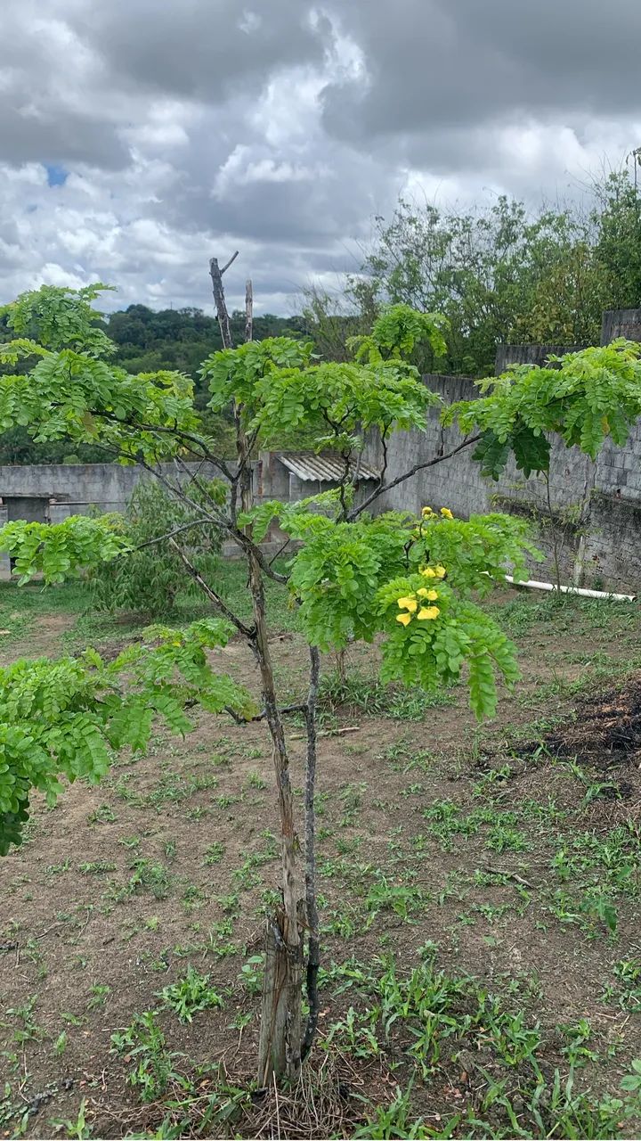 Casa quase pronta em Aldeia km 9,5 - Terreno 15x59m murado e documentado! Estudo troca ? - Foto 5