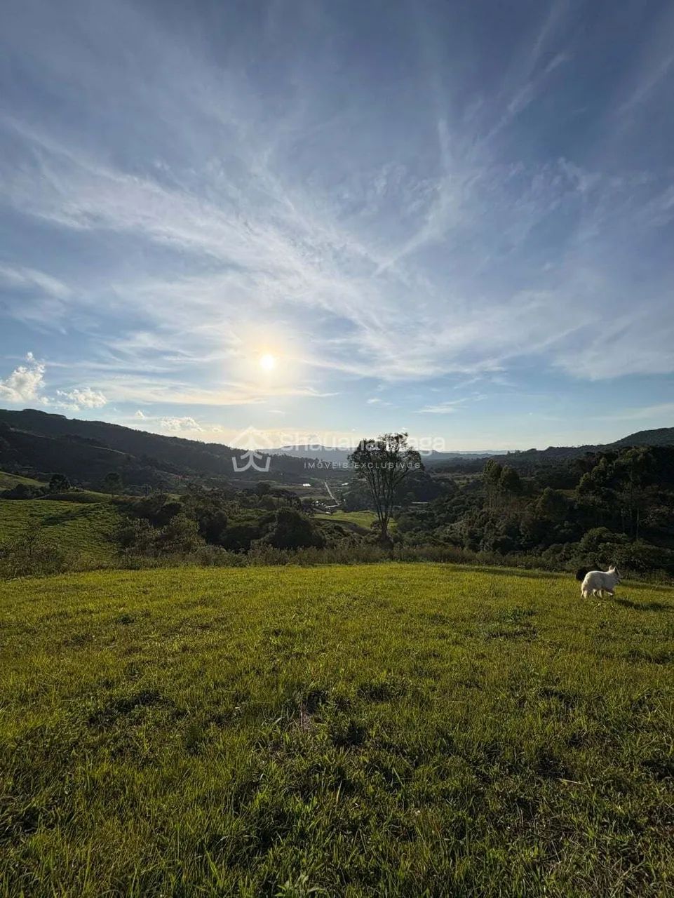 Terreno rural - Foto 5