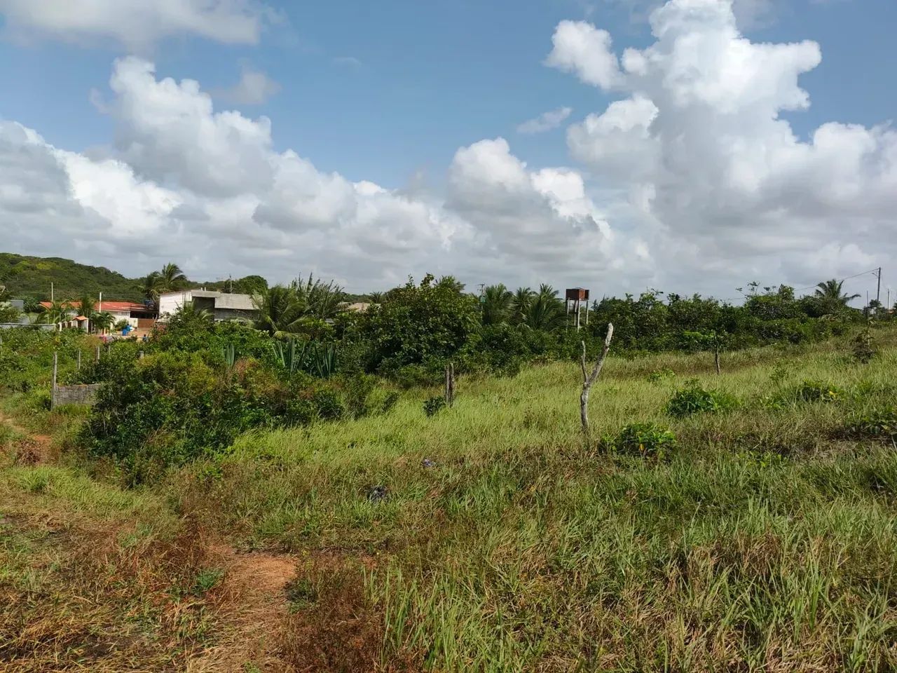 Praia Sagi Lotes Murados 900m2 - Foto 5