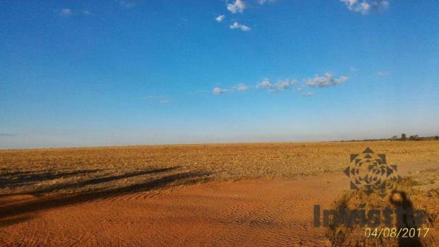 Oportunidade de excelente fazenda para agricultura!!! - Foto 3