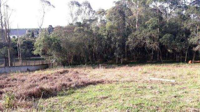 Chácara com 5.000 m², Agarau, São José dos Pinhais só R$349.500,00 - Foto 9