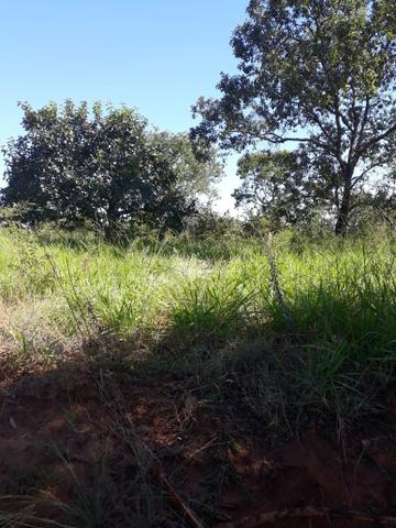 Fazenda 80 Alqueires município campina verde