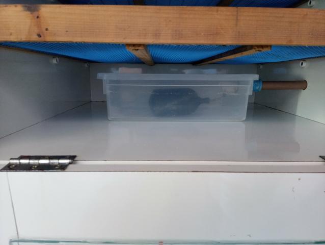 Chocadeira - Foto 2