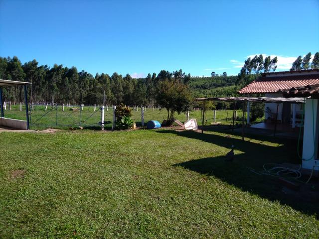 Sítio Santa Rita - Monte Santo de Minas - Mg - Foto 5