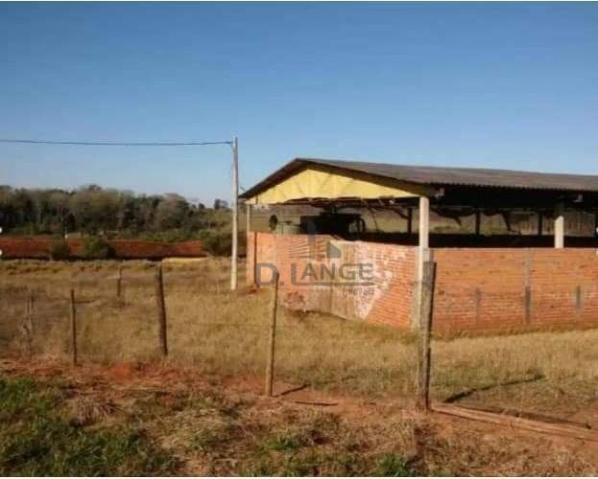 Granja em arealva s/p - Foto 12
