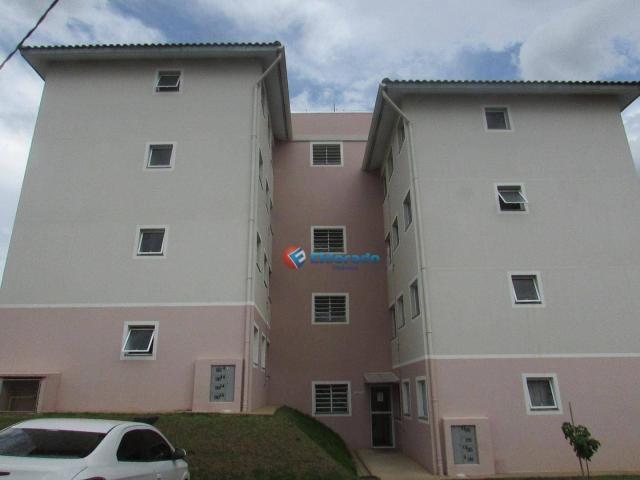 Apartamento com 2 dormitórios para alugar, 45 m² por r$ 550,00/mês - residencial guairá - - Foto 2