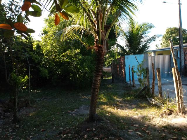 Terreno
