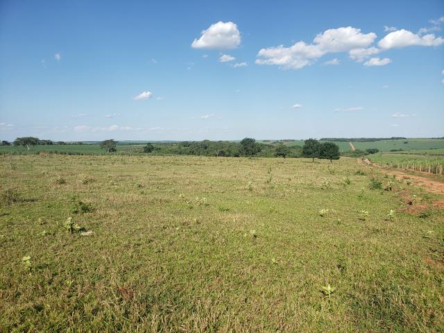 Oportunidade de venda de sitio