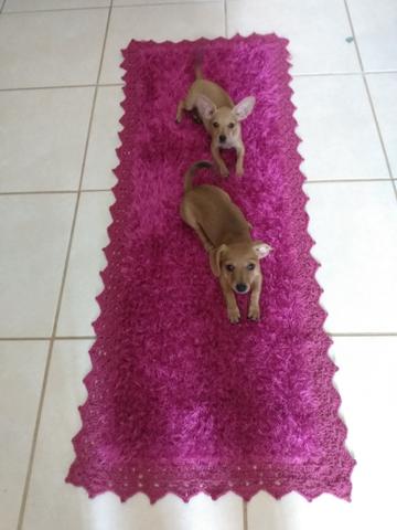 Tapetes de crochê, com linha decore( felpuda)