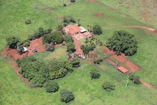 Fazenda Pouso Alto no município de Cachoeira Alta - Go. - Foto 7