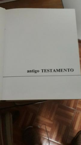 Vendo biblia sagrada ediçao loyola coleção ouro - Foto 2