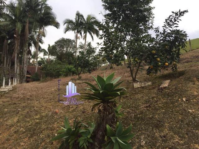 Excelente Sítio com 02 casas p/morar COD. 84 - Foto 19