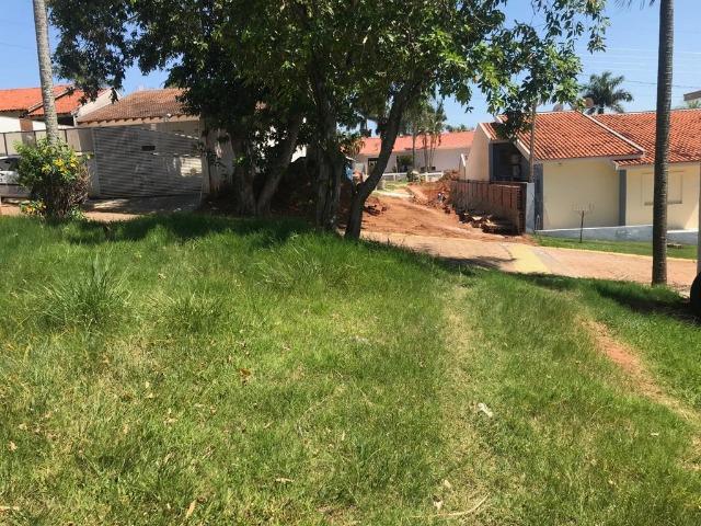 Terreno em Porto Rico - Foto 4
