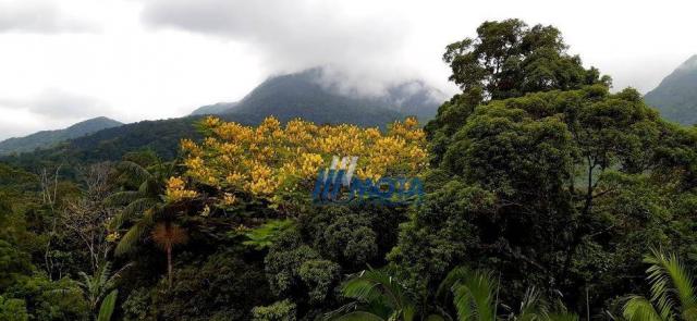Fazenda a venda antonina com 105,2 alqueires, casa sede em 3 pavimentos, com grande capaci - Foto 14