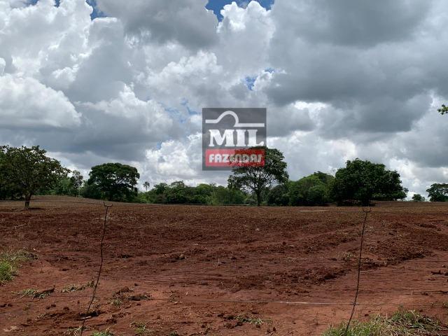 Fazenda 43 Alqueires ( 208 hectares ) Bonfinópolis-GO - Foto 16