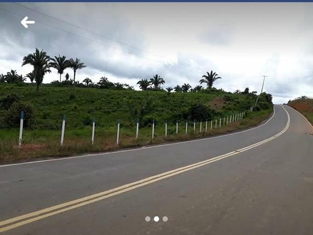 Terreno fazenda