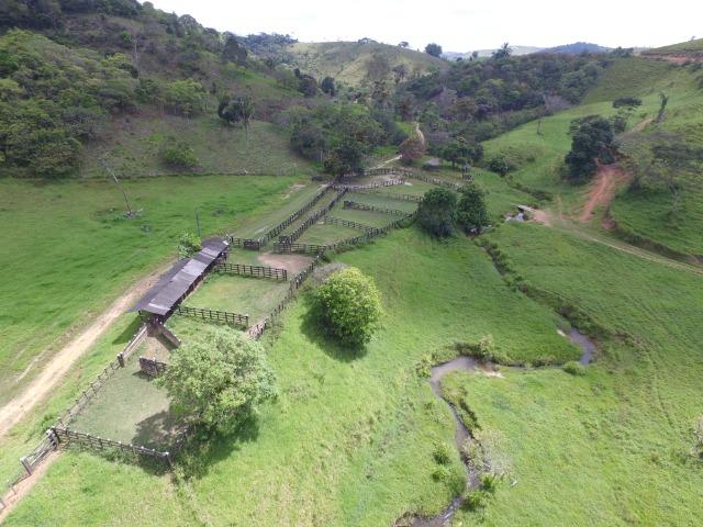 Fazenda 400 Hectares - 5 Nascentes no Município de Colonia - Foto 2