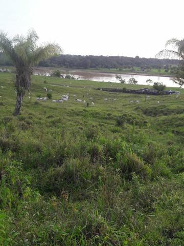 Vendo Fazenda
