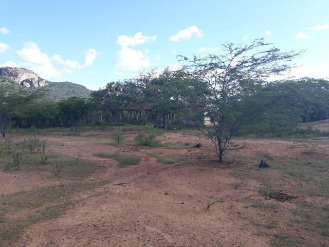 Excelente propriedade de 828 hectares, em Santa Cruz do Capibaribe - Foto 9