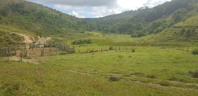 Fazenda 590,48 hectares no Leste de Minas na Região da sudene - Foto 5