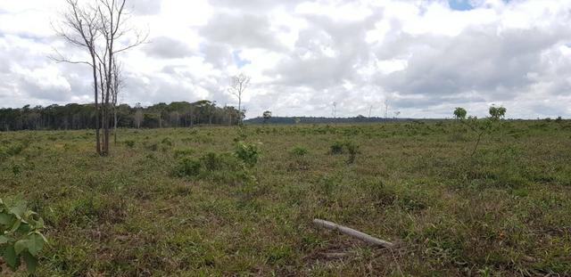 Fazenda 590,48 hectares no Leste de Minas na Região da sudene - Foto 4