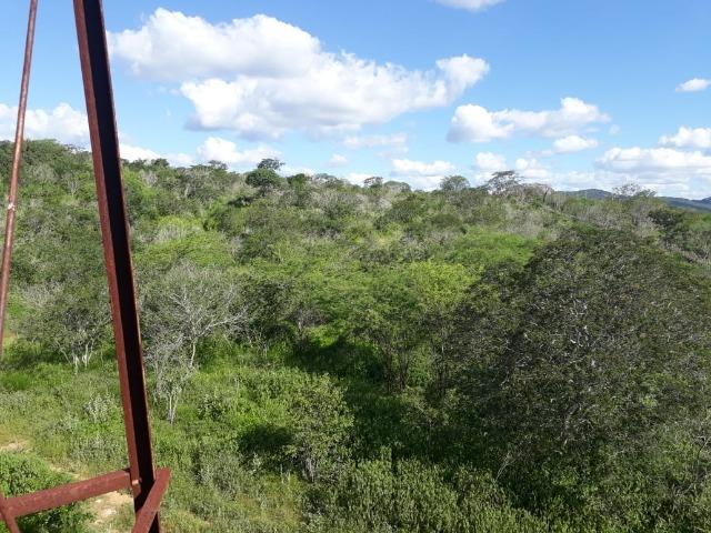 Excelente propriedade de 828 hectares, em Santa Cruz do Capibaribe - Foto 11
