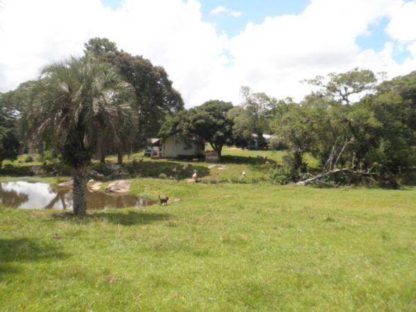 Terreno à venda com 0 dormitórios em Lami, Porto alegre cod:EX9118 - Foto 4