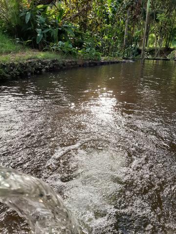 Alugamos Sítio com Cachoeira - Santa Leopoldina - Foto 7