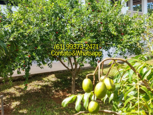 Casa no Lago Corumbá IV - Foto 17