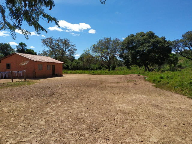 FAZENDA MUNICIPIO PINDORAMA 53 ALQUEIRES OBS. VALOR DO ALQUEIRES. - Foto 6