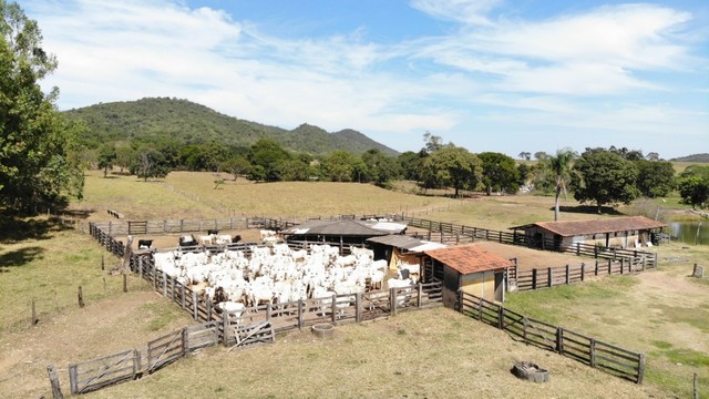 202 Alqueires em Formoso Go  - Foto 2