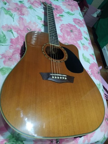 washburn d47sce