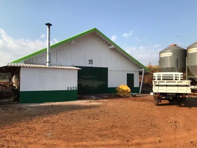 Chacara com dois aviários em pleno funcionamento com capacidade de expansão. - Foto 3