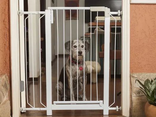 Kit Grade de Proteção com 2 Extensores - Tubline Plus