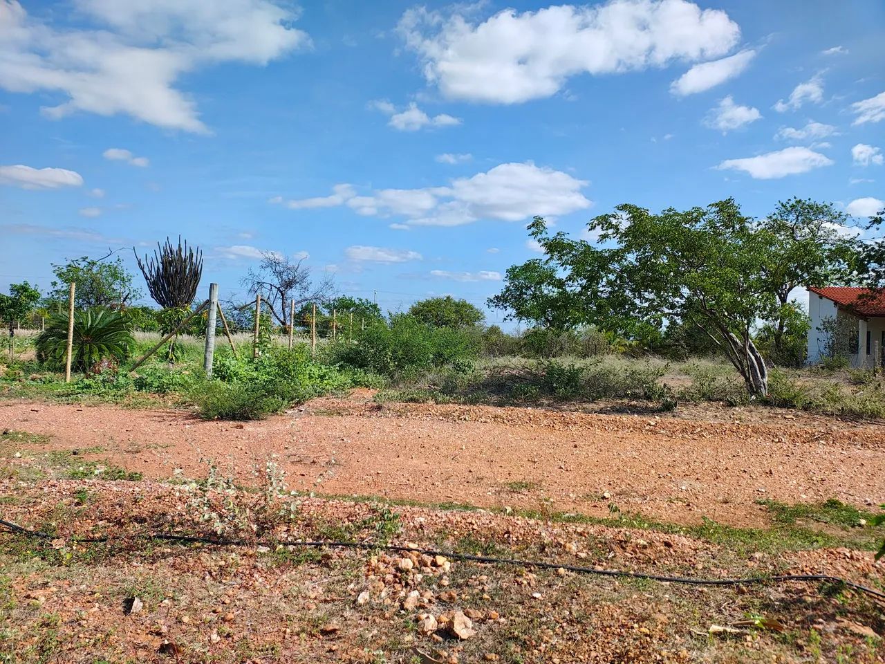 Lote para chácara na beira do rio! - Foto 3