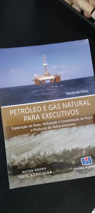 Livro Petróleo e Gás para Executivos - Foto 2