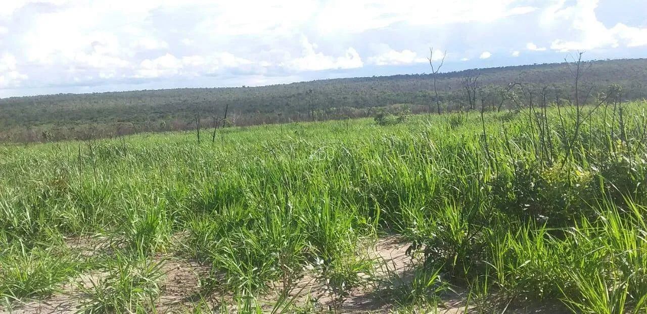 VENDO FAZENDA NO MUNICIPIO DE PARANATINGA. 1.000 HECTARES - Foto 3