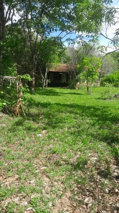 Chácara de 2 hequitares a 32 km de moc - Foto 4