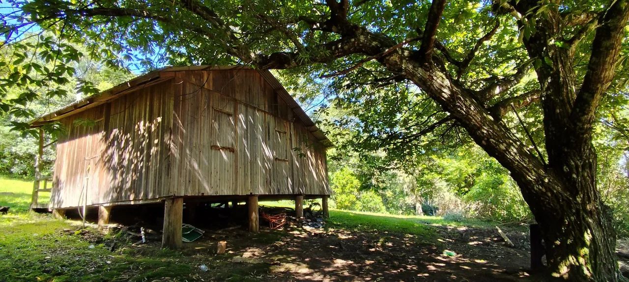 Chácara,no meio da floresta, 20 hectares 195,000,00 - Foto 4
