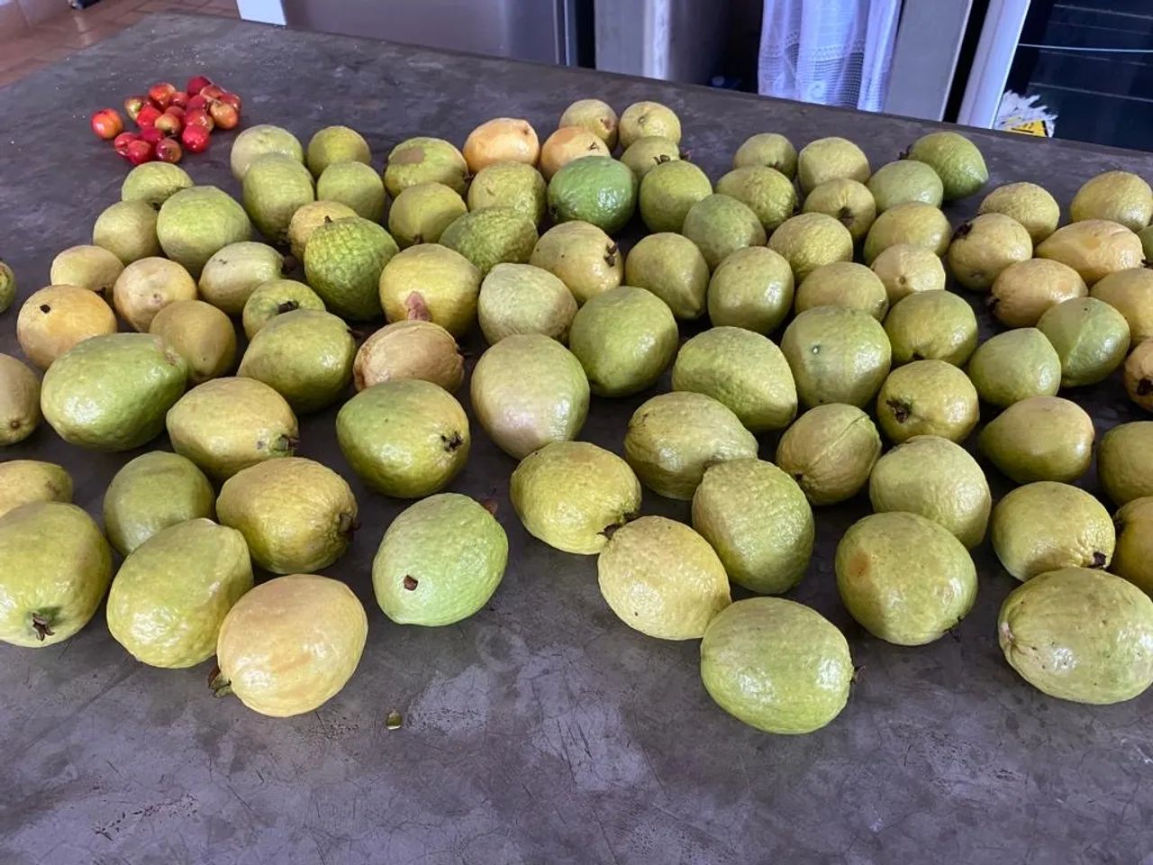 SÍTIO RANCHO PARAÍSO COM BEIRA DE RIO ARICÁ - Foto 13