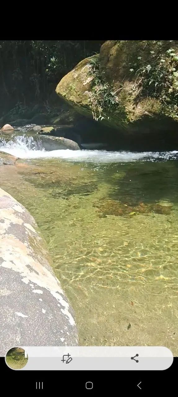 Foto - Ubatuba - Horto Florestal